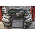 Refroidisseur de charge avant / Intercooler pour BMW M3 F80 / M4 F8x / M2 Comp F87 CTS Turbo Refroidisseur de charge avant / Intercooler pour BMW M3 F80 / M4 F8x / M2 Comp F87 CTS Turbo