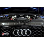 Eventuri Carbon Fiber Slam Panel Cover pour Audi RS4 B8 Eventuri Carbon Fiber Slam Panel Cover pour Audi RS4 B8