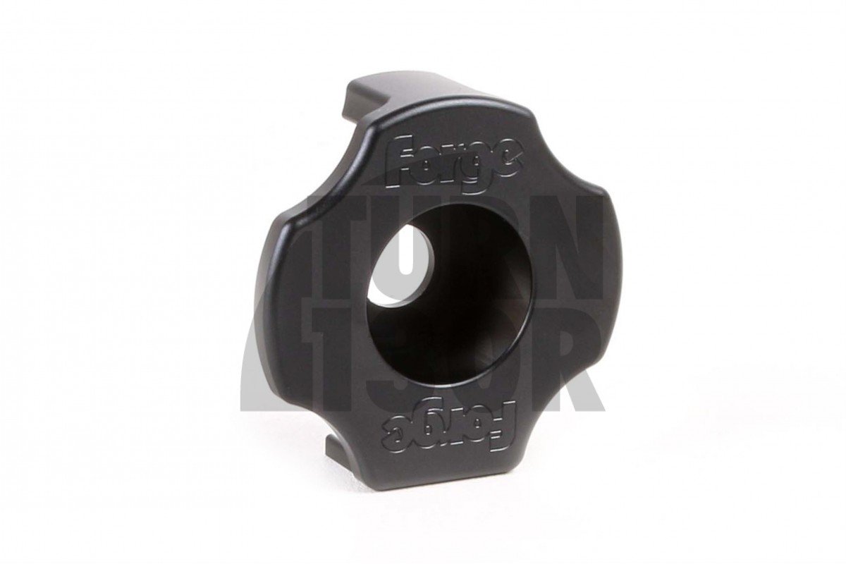 Golf MK7 GTI / MK7 R Insert de coussinet dépine dorsale Forge Golf MK7 GTI / MK7 R Insert de coussinet dépine dorsale Forge