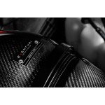 Eventuri Carbon Fiber Intake System pour BMW 135i / 235i F40 Eventuri Carbon Fiber Intake System pour BMW 135i / 235i F40