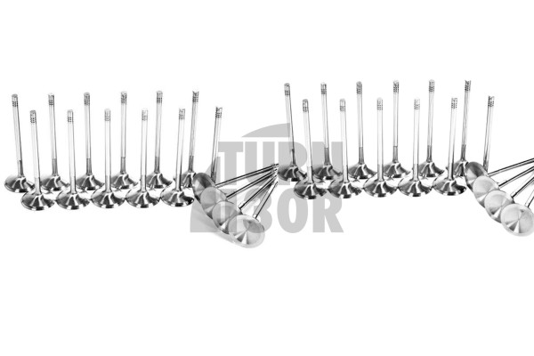 Golf 5 R32 / A3 3.2 / TT Mk2 3.2 Ferrea Competition Plus Valves moteur x24