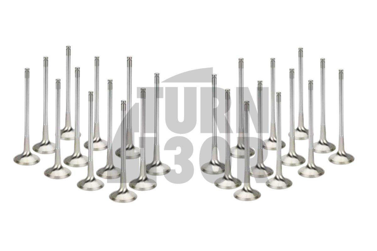 Supertech Valves moteur x24 BMW 135i E8x / 1M / 335i E9x N54 Supertech Valves moteur x24 BMW 135i E8x / 1M / 335i E9x N54