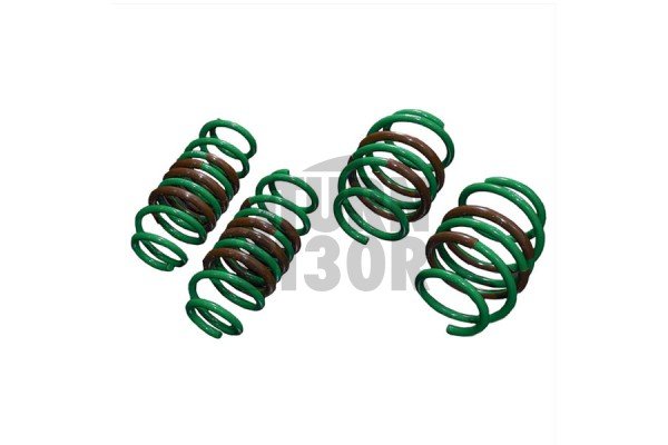 Tein S-Tech -25mm Ressorts d'abaissement Nissan R35 GTR