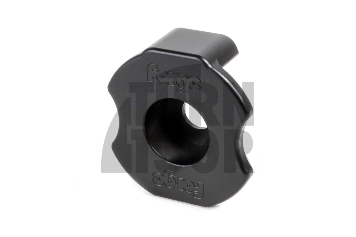 Audi S3 8V / Leon Cupra 5F Insert de coussinet dépine dorsale Forge