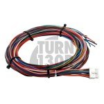 Kit dinjection eau/méthanol pour moteurs à induction forcée - AEM Version 3