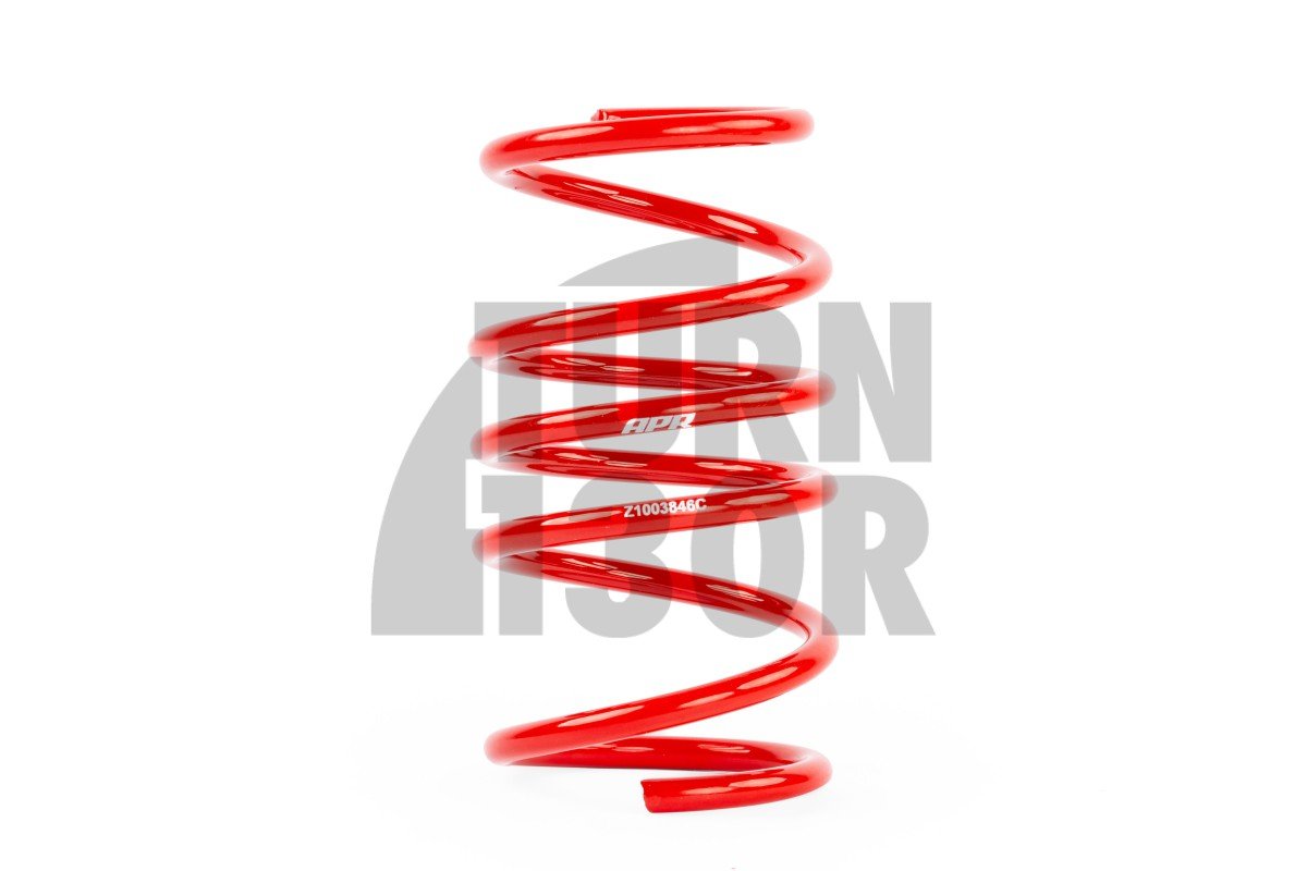 APRRessorts dabaissement Golf 8 GTI