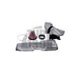 Système dadmission en fibre de carbone Gruppe M pour Audi TT RS 8S