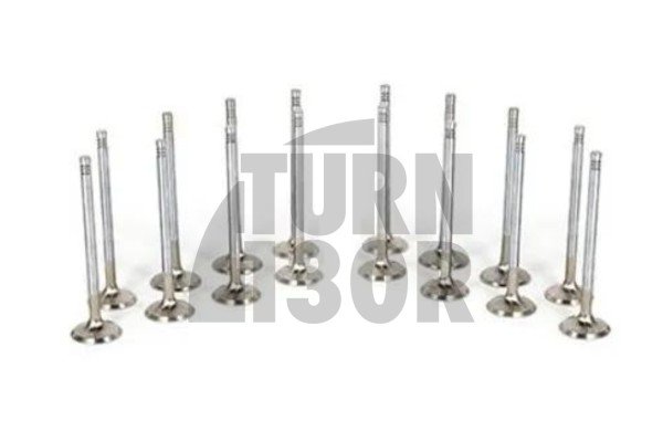 Mitsubishi Lancer Evo 7 / Evo 8 / Evo 9 Ferrea Competition Engine Valves x16