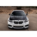 Seibon OEM Carbon Fiber Hood for BMW 235i - 240i & M2 F87